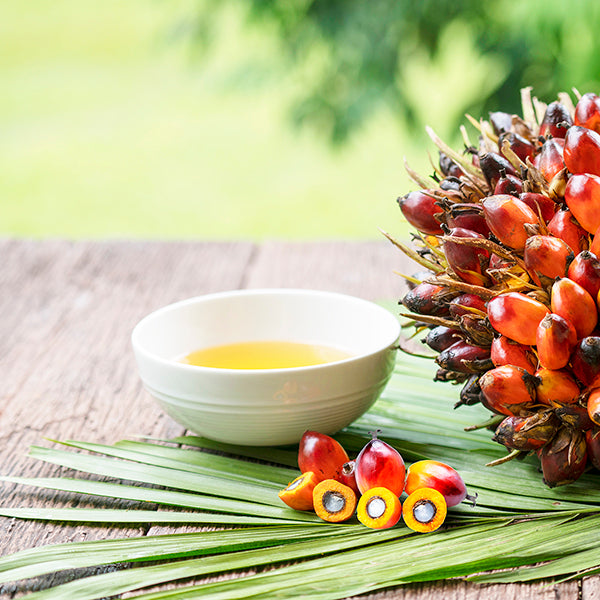 Palm Oil Is Better For The Environment Than Other Oils – Natural